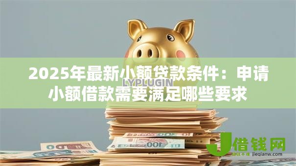 2025年最新小额贷款条件：申请小额借款需要满足哪些要求
