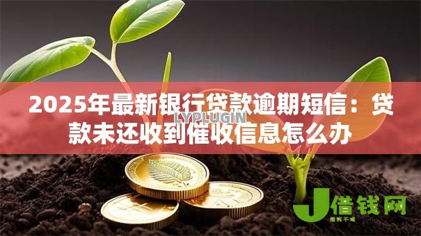 2025年最新银行贷款逾期短信：贷款未还收到催收信息怎么办