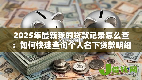 2025年最新我的贷款记录怎么查：如何快速查询个人名下贷款明细