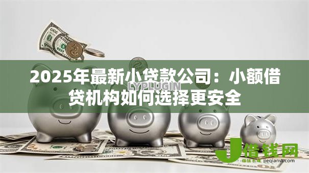2025年最新小贷款公司：小额借贷机构如何选择更安全