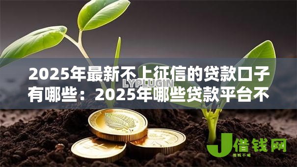 2025年最新不上征信的贷款口子有哪些:2025年哪些贷款平台不查征信 2025年最新不上征信的贷款口子有哪些:2025年哪些贷款平台不查征信