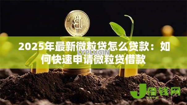 2025年最新微粒贷怎么贷款:如何快速申请微粒贷借款 2025年最新微粒贷怎么贷款:如何快速申请微粒贷借款