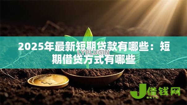 2025年最新短期贷款有哪些：短期借贷方式有哪些