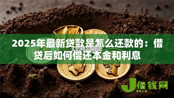 2025年最新贷款是怎么还款的：借贷后如何偿还本金和利息