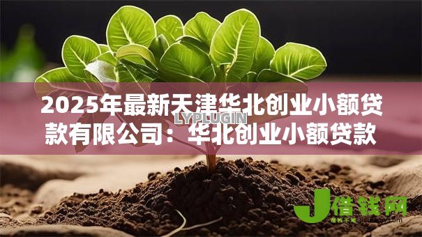 2025年最新天津华北创业小额贷款有限公司：华北创业小额贷款服务如何申请