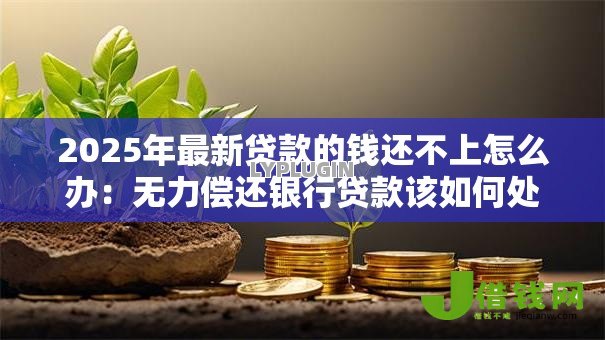 2025年最新贷款的钱还不上怎么办：无力偿还银行贷款该如何处理