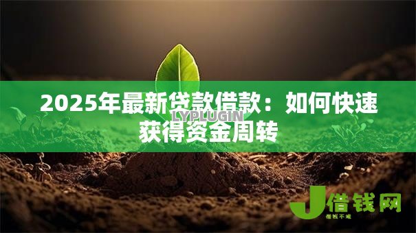 2025年最新贷款借款：如何快速获得资金周转