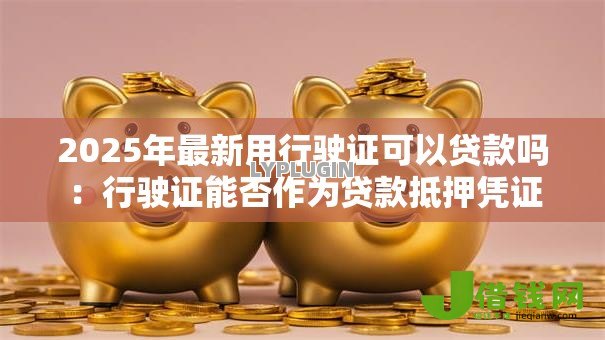 2025年最新用行驶证可以贷款吗：行驶证能否作为贷款抵押凭证