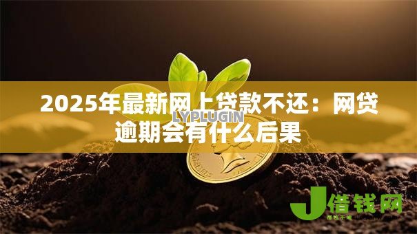 2025年最新网上贷款不还：网贷逾期会有什么后果
