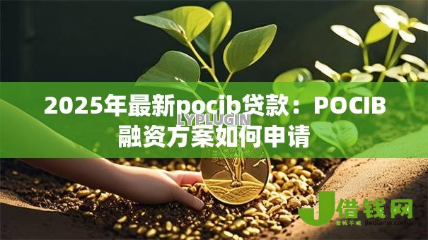 2025年最新pocib贷款：POCIB融资方案如何申请