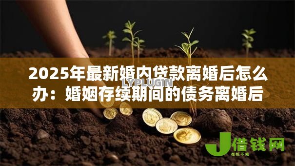 2025年最新婚内贷款离婚后怎么办：婚姻存续期间的债务离婚后如何分担