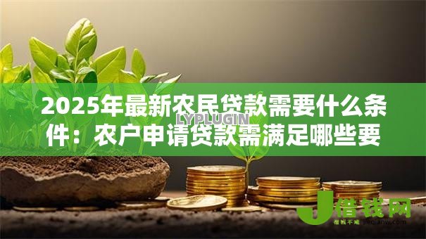 2025年最新农民贷款需要什么条件：农户申请贷款需满足哪些要求