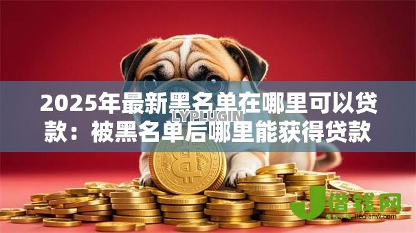 2025年最新黑名单在哪里可以贷款:被黑名单后哪里能获得贷款 2025年最新黑名单在哪里可以贷款:被黑名单后哪里能获得贷款