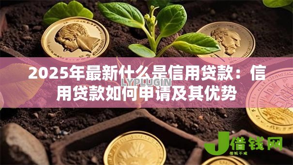 2025年最新什么是信用贷款:信用贷款如何申请及其优势 2025年最新什么是信用贷款:信用贷款如何申请及其优势