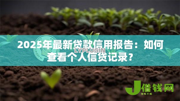 2025年最新贷款信用报告：如何查看个人信贷记录？