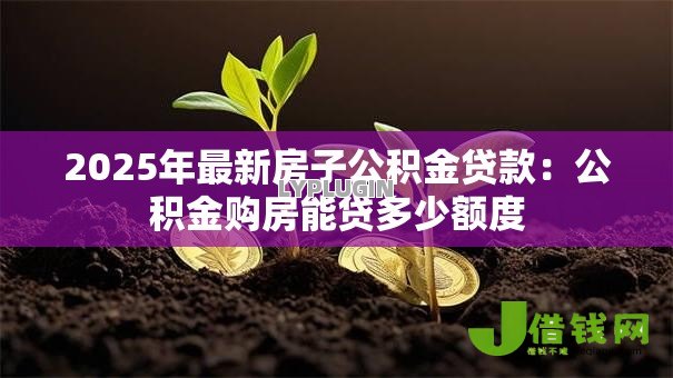2025年最新房子公积金贷款:公积金购房能贷多少额度 2025年最新房子公积金贷款:公积金购房能贷多少额度