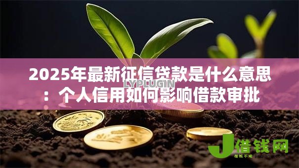 2025年最新征信贷款是什么意思:个人信用如何影响借款审批 2025年最新征信贷款是什么意思:个人信用如何影响借款审批