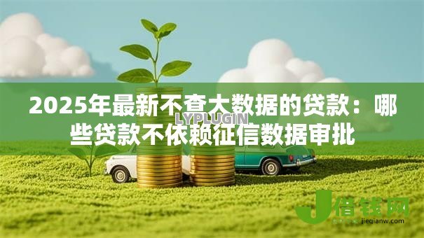 2025年最新不查大数据的贷款：哪些贷款不依赖征信数据审批