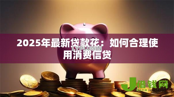 2025年最新贷款花:如何合理使用消费信贷 2025年最新贷款花:如何合理使用消费信贷
