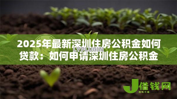 2025年最新深圳住房公积金如何贷款:如何申请深圳住房公积金贷款 2025年最新深圳住房公积金如何贷款:如何申请深圳住房公积金贷款