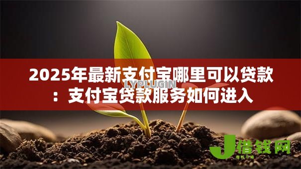 2025年最新支付宝哪里可以贷款:支付宝贷款服务如何进入 2025年最新支付宝哪里可以贷款:支付宝贷款服务如何进入