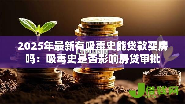 2025年最新有吸毒史能贷款买房吗:吸毒史是否影响房贷审批 2025年最新有吸毒史能贷款买房吗:吸毒史是否影响房贷审批
