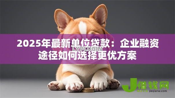 2025年最新单位贷款：企业融资途径如何选择更优方案