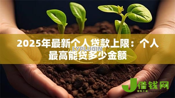 2025年最新个人贷款上限:个人最高能贷多少金额 2025年最新个人贷款上限:个人最高能贷多少金额
