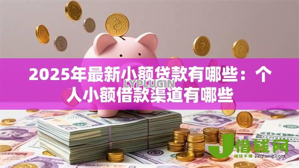 2025年最新小额贷款有哪些：个人小额借款渠道有哪些