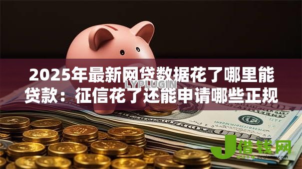 2025年最新网贷数据花了哪里能贷款：征信花了还能申请哪些正规贷款
