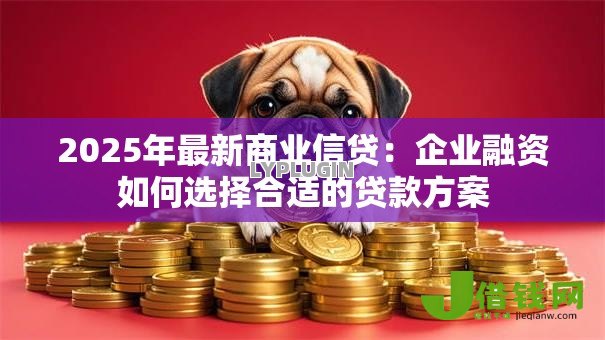 2025年最新商业信贷：企业融资如何选择合适的贷款方案