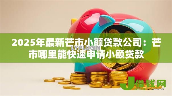 2025年最新芒市小额贷款公司：芒市哪里能快速申请小额贷款