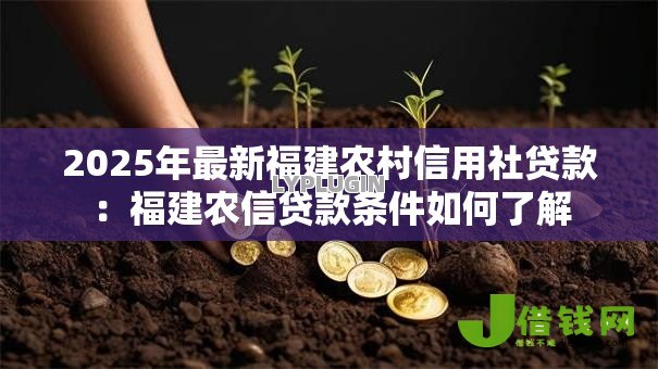 2025年最新福建农村信用社贷款：福建农信贷款条件如何了解