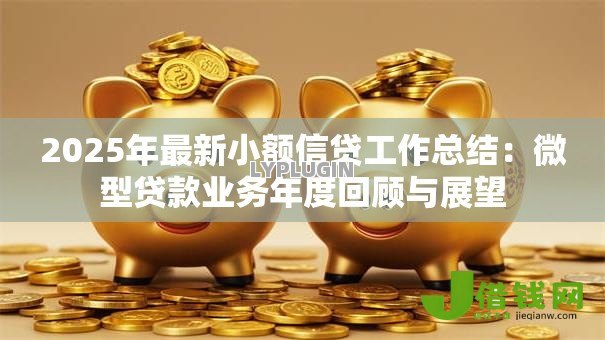 2025年最新小额信贷工作总结:微型贷款业务年度回顾与展望 2025年最新小额信贷工作总结:微型贷款业务年度回顾与展望