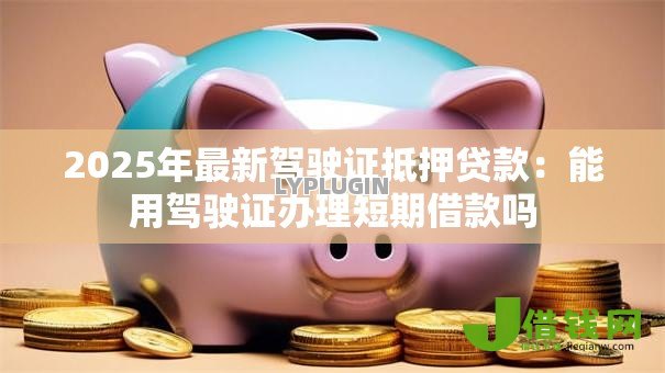 2025年最新驾驶证抵押贷款：能用驾驶证办理短期借款吗