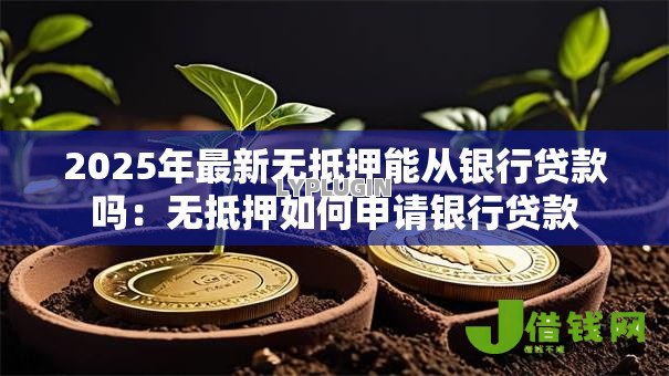 2025年最新无抵押能从银行贷款吗：无抵押如何申请银行贷款