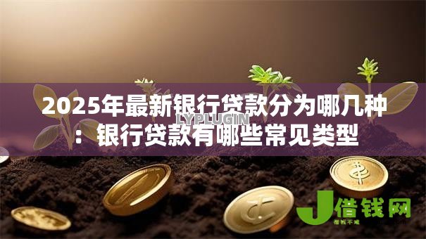 2025年最新银行贷款分为哪几种：银行贷款有哪些常见类型