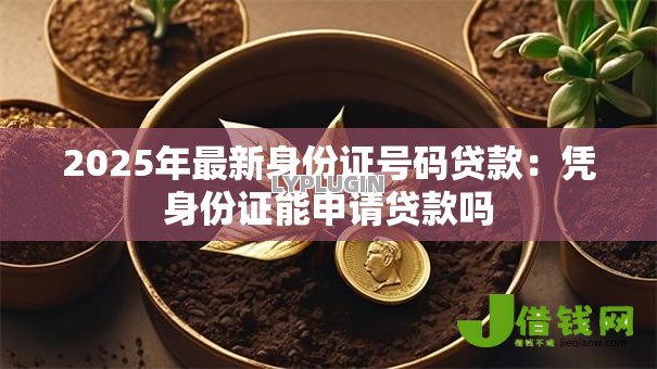2025年最新身份证号码贷款：凭身份证能申请贷款吗