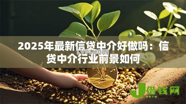 2025年最新信贷中介好做吗:信贷中介行业前景如何 2025年最新信贷中介好做吗:信贷中介行业前景如何