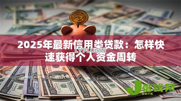 2025年最新信用类贷款:怎样快速获得个人资金周转 2025年最新信用类贷款:怎样快速获得个人资金周转