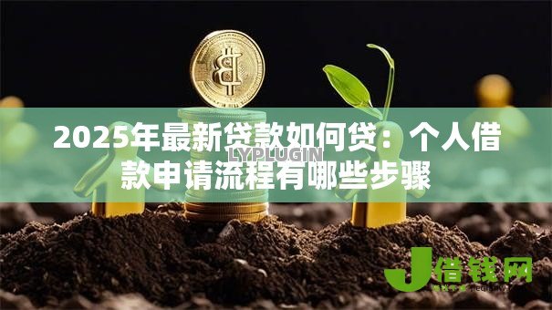 2025年最新贷款如何贷：个人借款申请流程有哪些步骤