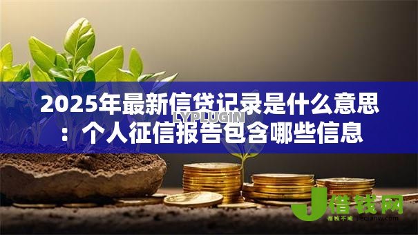 2025年最新信贷记录是什么意思：个人征信报告包含哪些信息