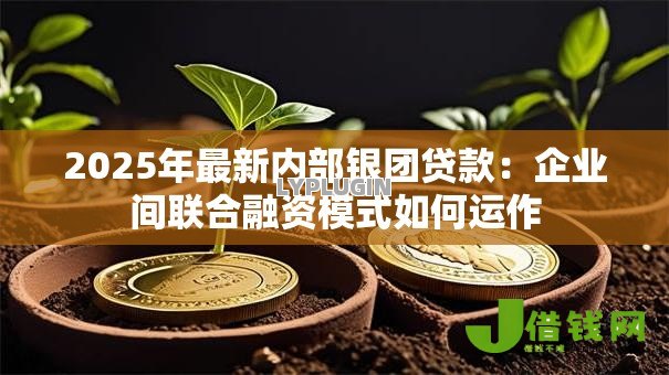 2025年最新内部银团贷款：企业间联合融资模式如何运作