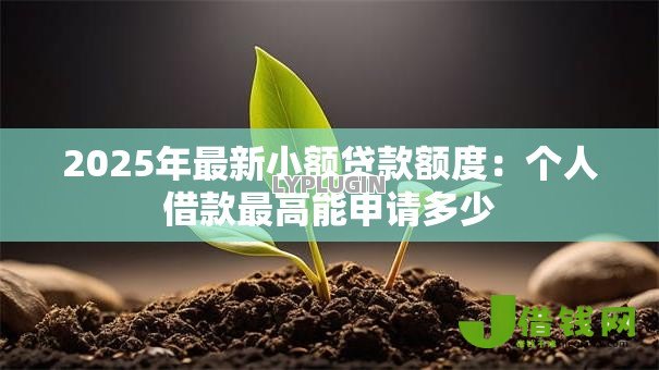 2025年最新小额贷款额度:个人借款最高能申请多少 2025年最新小额贷款额度:个人借款最高能申请多少