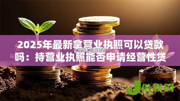 2025年最新拿营业执照可以贷款吗：持营业执照能否申请经营性贷款
