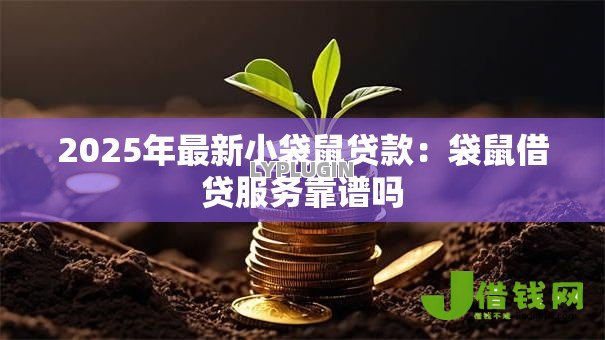 2025年最新小袋鼠贷款：袋鼠借贷服务靠谱吗
