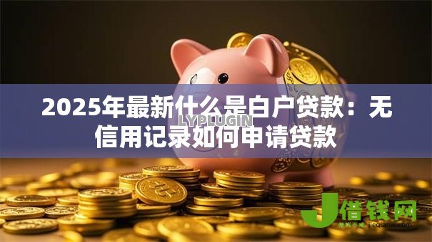 2025年最新什么是白户贷款：无信用记录如何申请贷款