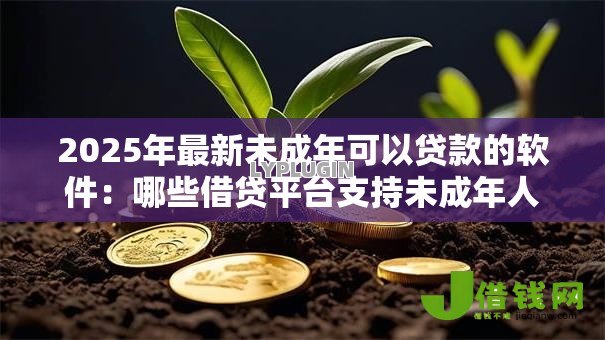 2025年最新未成年可以贷款的软件:哪些借贷平台支持未成年人申请 2025年最新未成年可以贷款的软件:哪些借贷平台支持未成年人申请