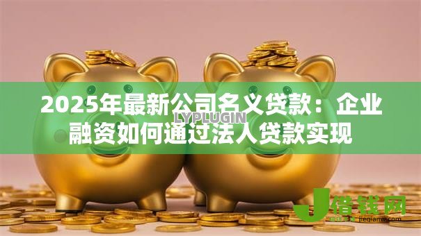 2025年最新公司名义贷款:企业融资如何通过法人贷款实现 2025年最新公司名义贷款:企业融资如何通过法人贷款实现