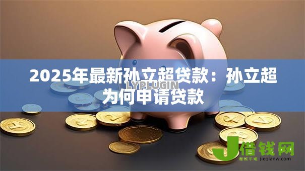 2025年最新孙立超贷款：孙立超为何申请贷款